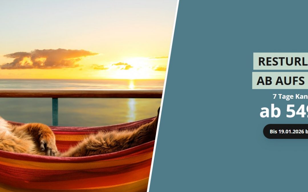 Zum Newsletter vom 29.12.2025