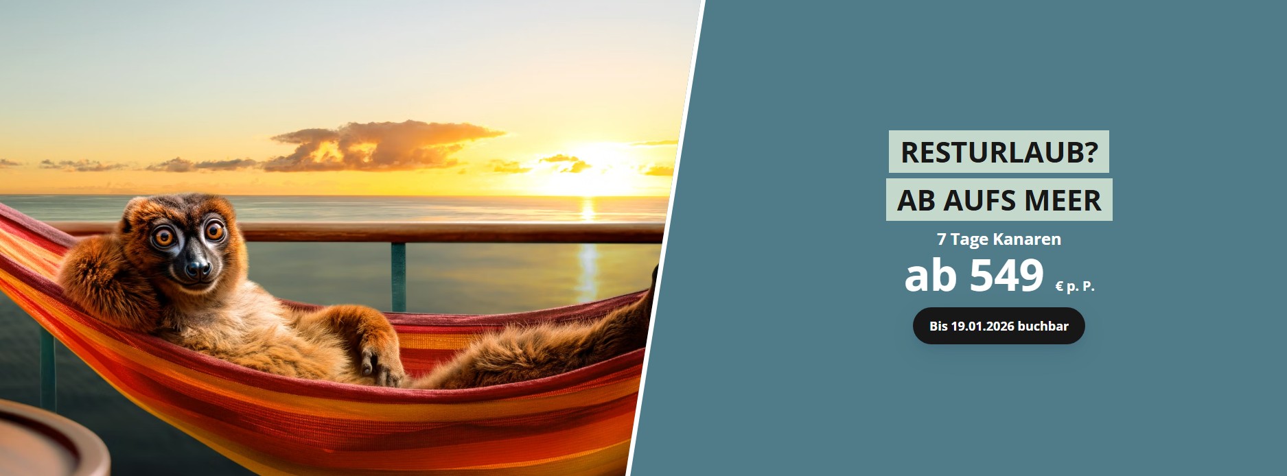 Zum Newsletter vom 29.12.2025