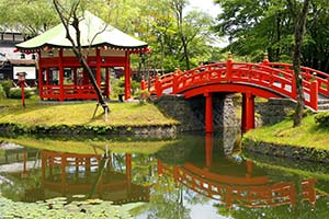 Asiatischer Garten mit Teich, Pflanzen und dekorativen Elementen