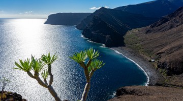 Kanaren mit AIDA & Mein Schiff
