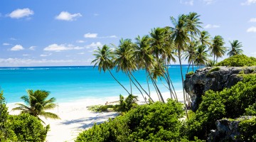 Karibik mit AIDA & Mein Schiff